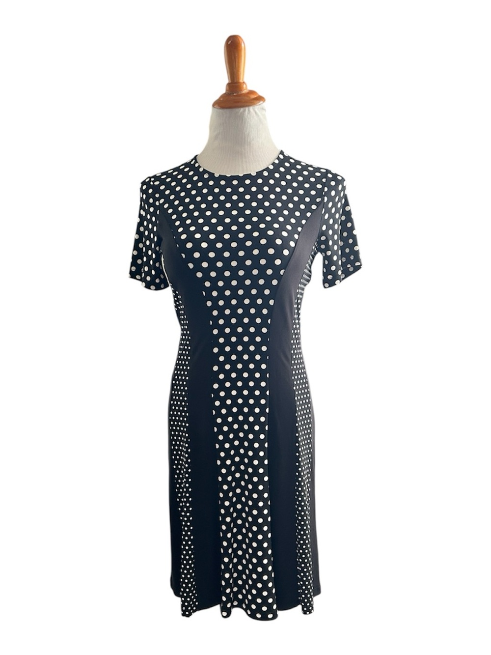 Black Polka Dot Short Sleeve A-Line Dress